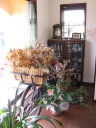 corner